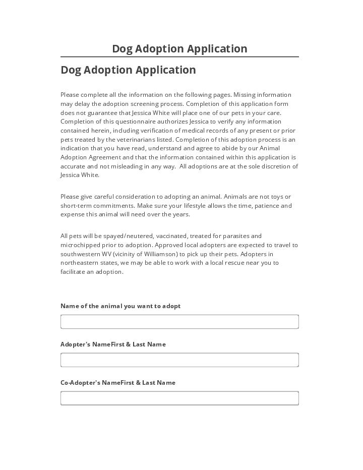 Export Dog Adoption Application to Netsuite